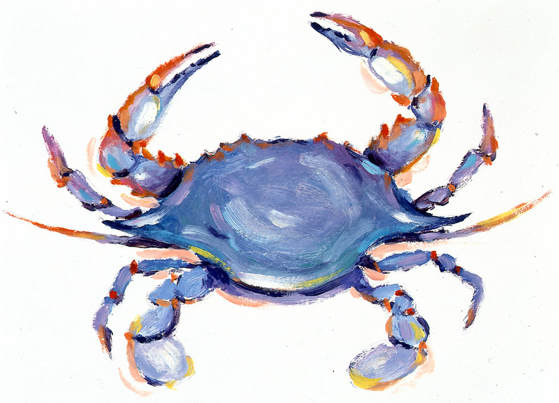 Blue Crab Illustration images