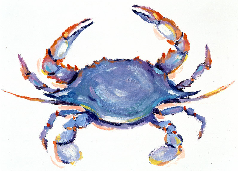 Gallery For > Blue Crab